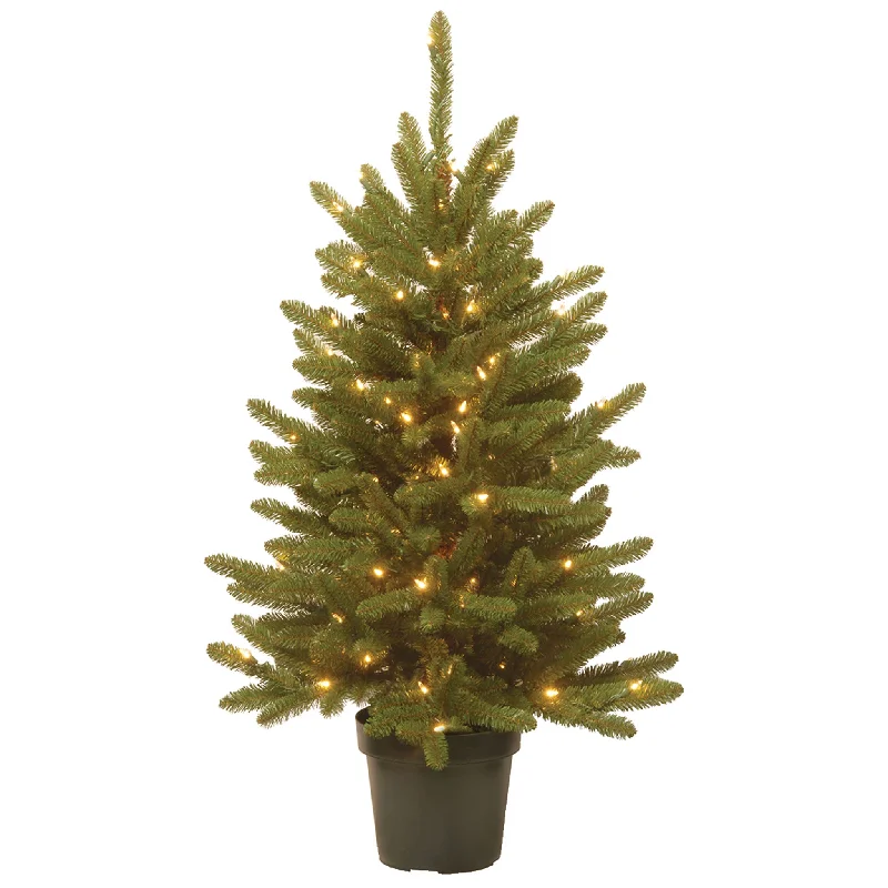 4 ft. Pre-Lit Kensington Fir Tree in a Green Growers Pot with Clear Lights
