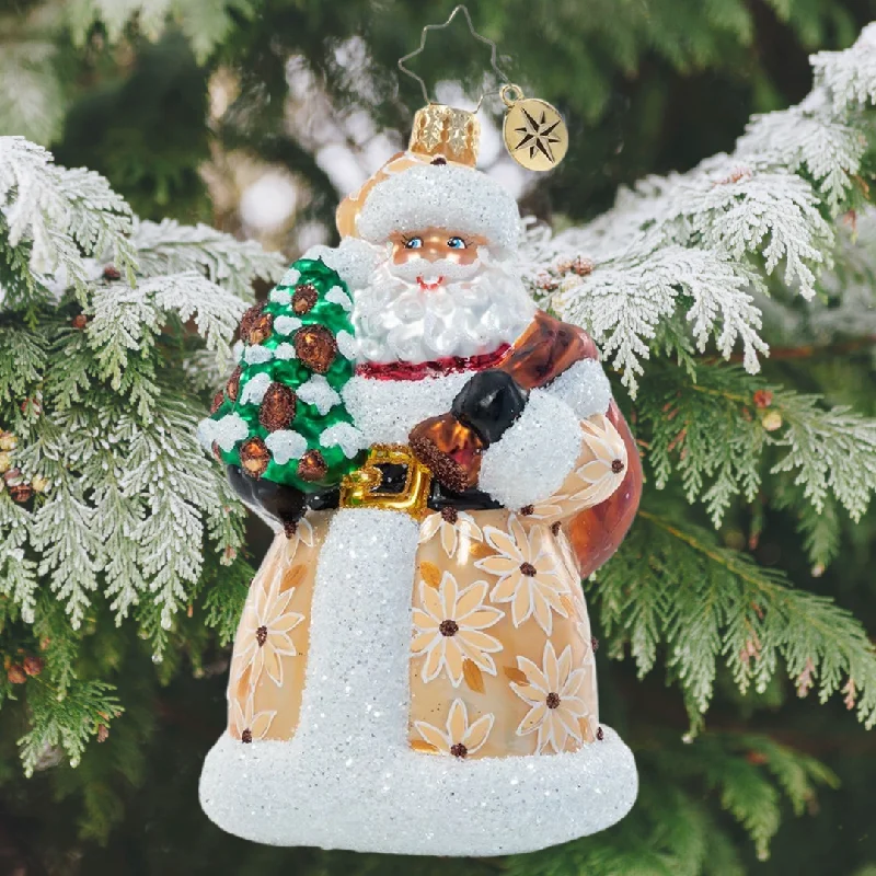 Christmas In The Forest
